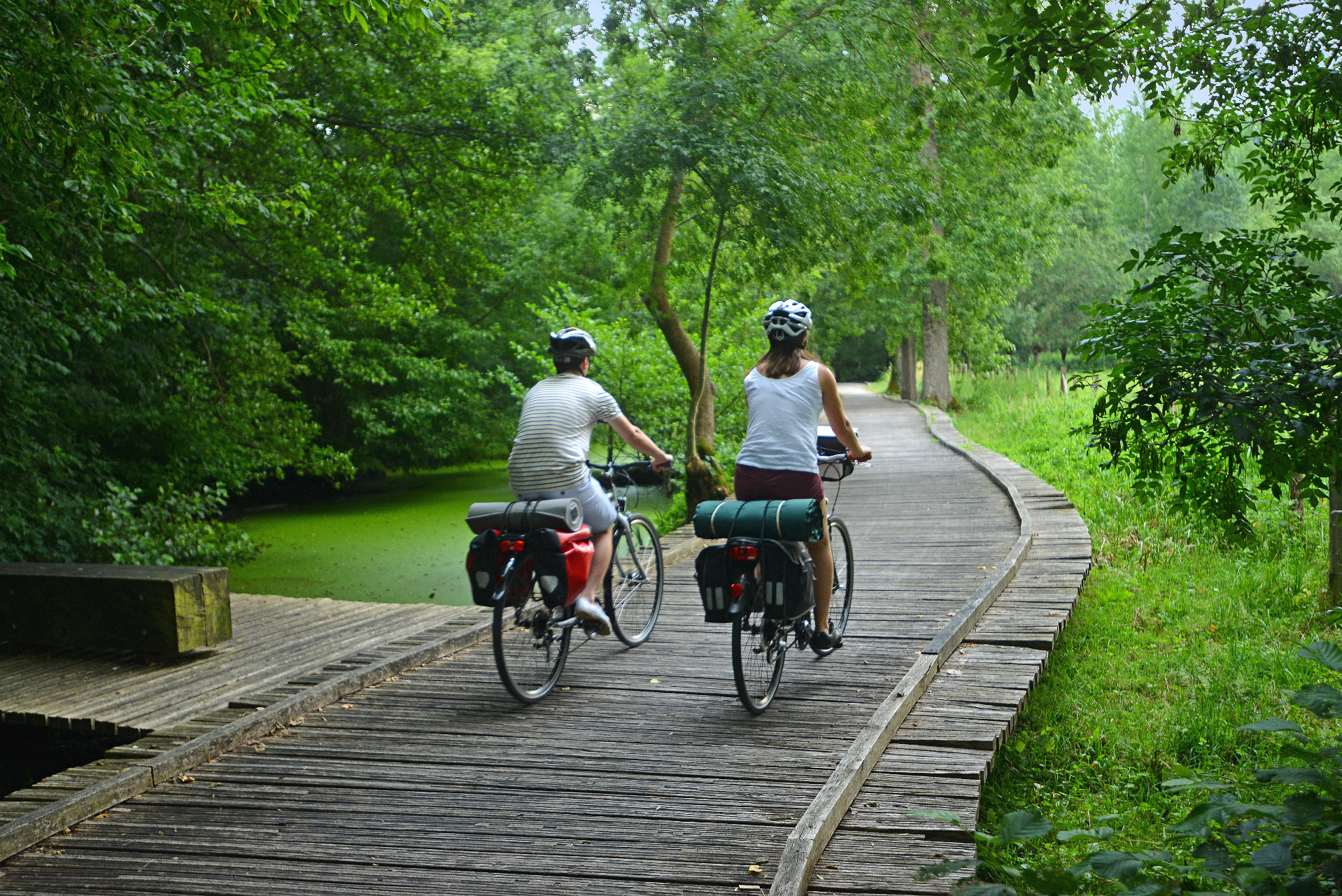 Le marais Poitevin à vélo