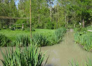 Canal dans une volière