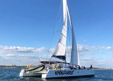 Balade en mer sur catamaran à voile matinée découverte - Kapalouest