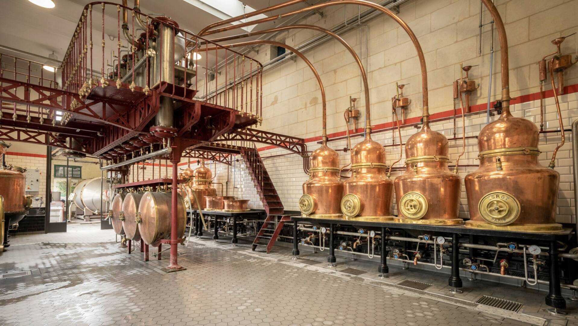 DISTILLERIE COMBIER, Dégustation à Saumur
