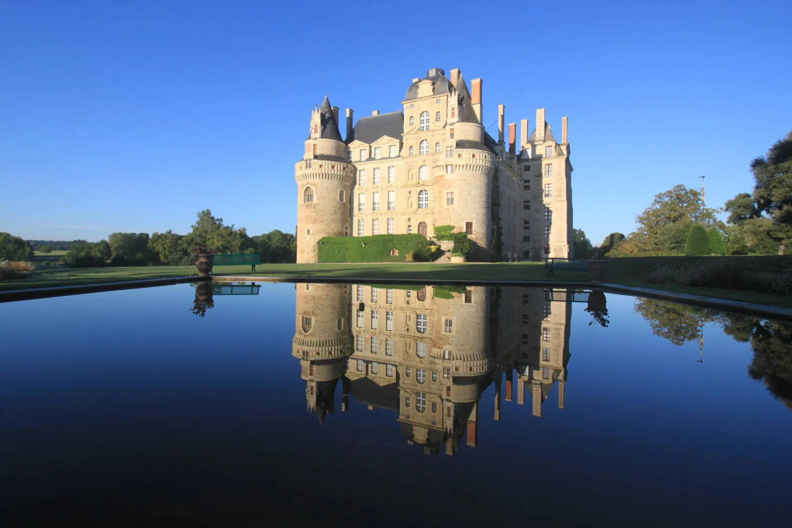 The Apprenticeship Gap: From the Loire Valley to the Lakefront