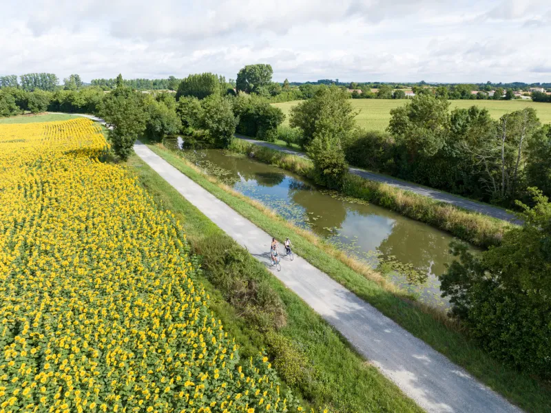 La Vélo Francette en bord de Sèvre Niortaise