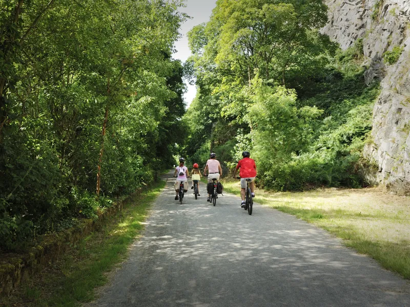 Balade autour de Domfront-en-Poiraie