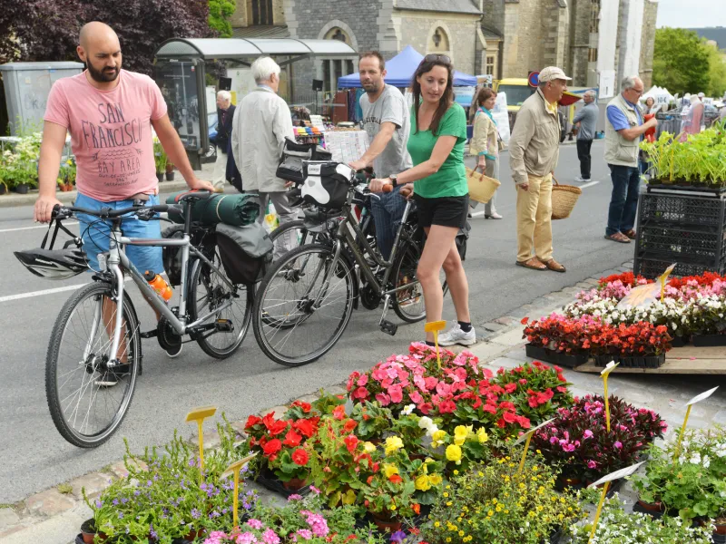 Découverte des fleuristes de Laval à vélo