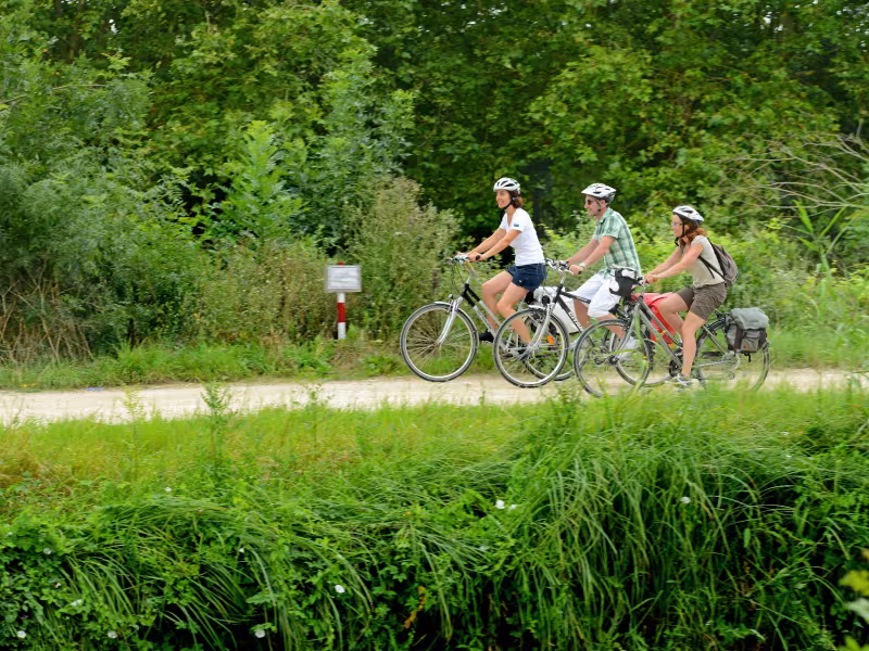 Sèvre Niortaise à vélo près de Bazoin