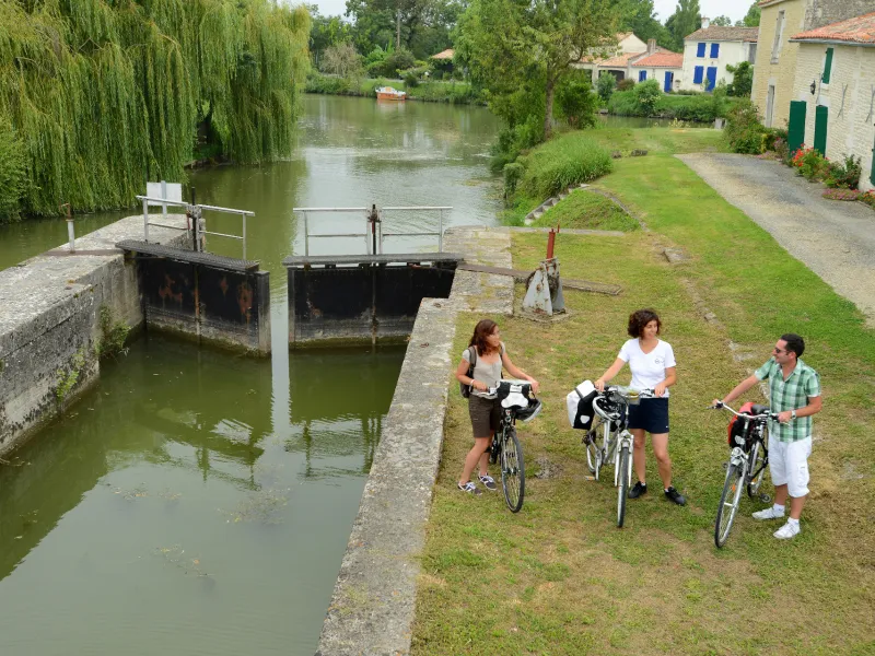 Vélo entre amis le long de la Sèvre Niortaise près de Bazoin