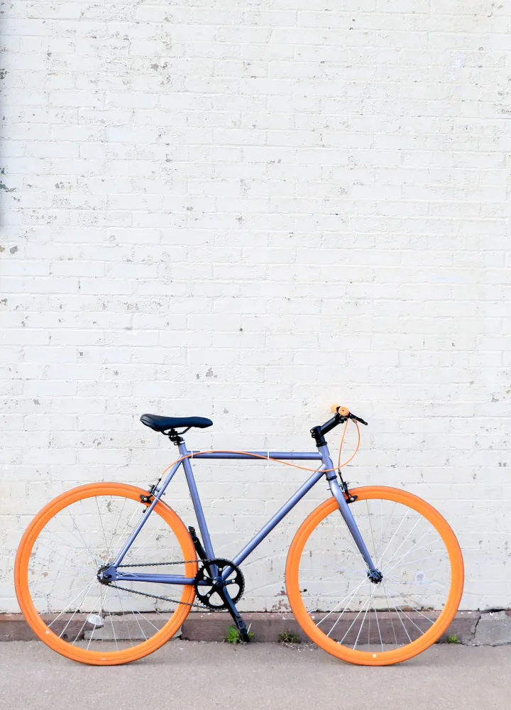 histoire du vélo-retour sur ses 200 ans d'existence