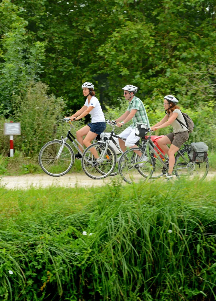 Jour 2 : Retour sur Damvix (22 km) 