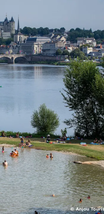 Pause fraîcheur sur une île à Saumur
