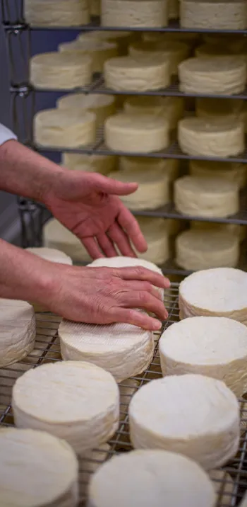 Le Camembert Normand AOP, classique indémodable !