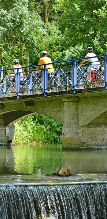 La Sèvre Niortaise & le Marais Poitevin
