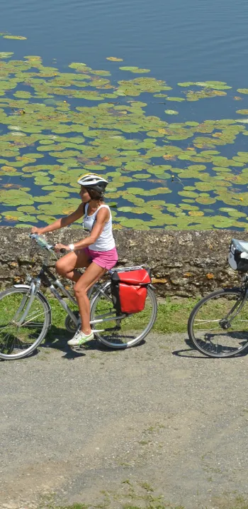 Vélo le long du Thouet vers Montreuil-Bellay