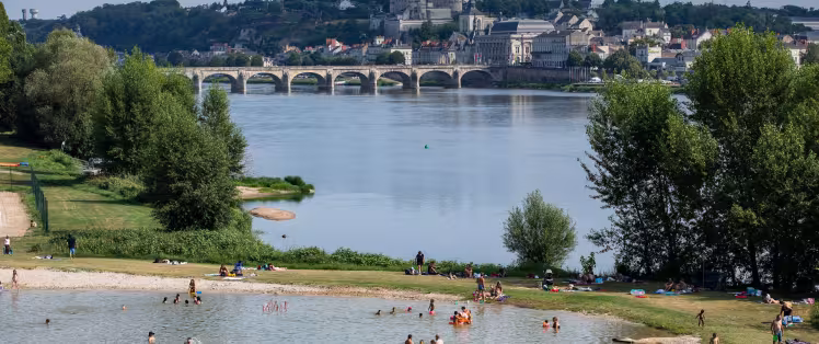 Pause fraîcheur sur une île à Saumur