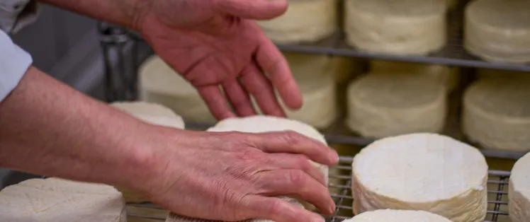 Le Camembert Normand AOP, classique indémodable !
