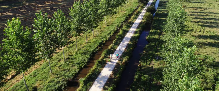 Marais Poitevin à La Garette
