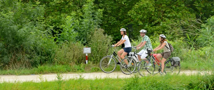 Jour 2 : Retour sur Damvix (22 km) 