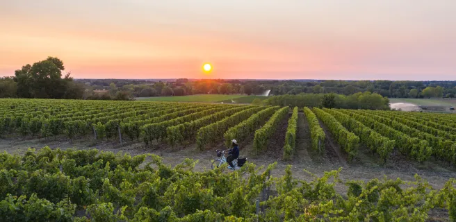 Montreuil-Bellay / Thouars