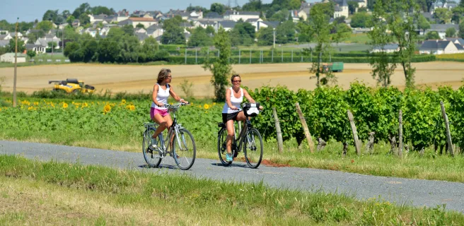 Saumur / Montreuil-Bellay