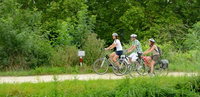 Jour 2 : Retour sur Damvix (22 km) 