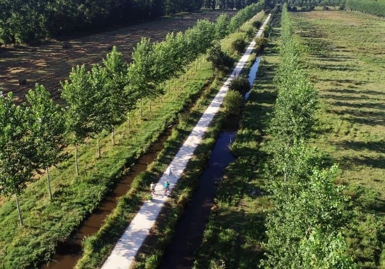 Marais Poitevin à La Garette