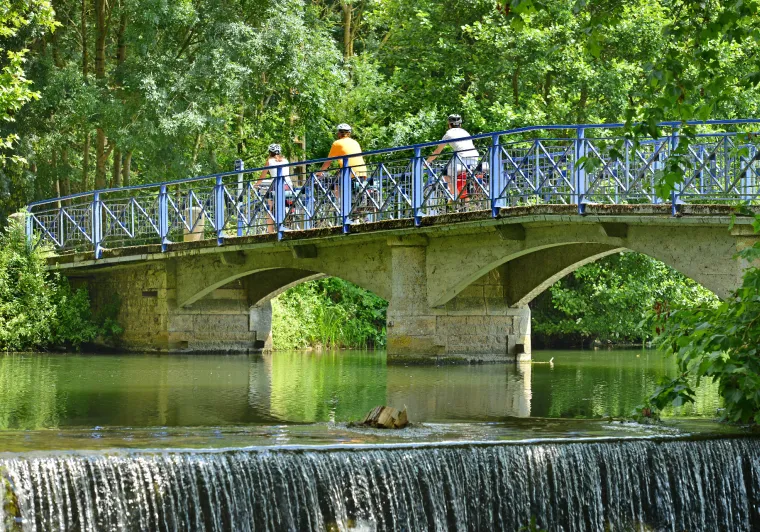 La Sèvre Niortaise & le Marais Poitevin