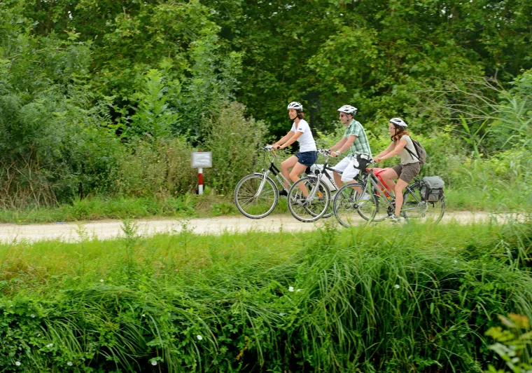 Jour 2 : Retour sur Damvix (22 km) 