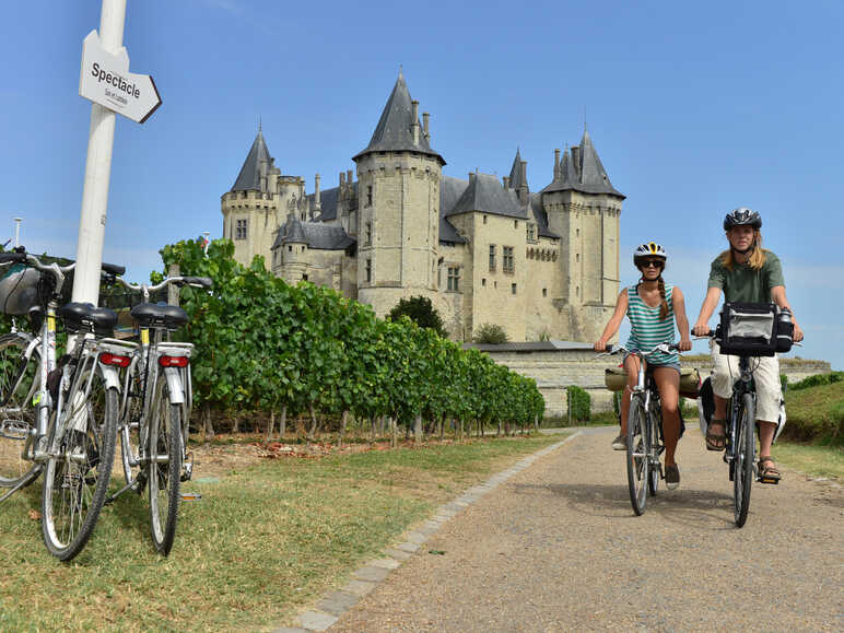 The castle-palace of the Dukes of Anjou