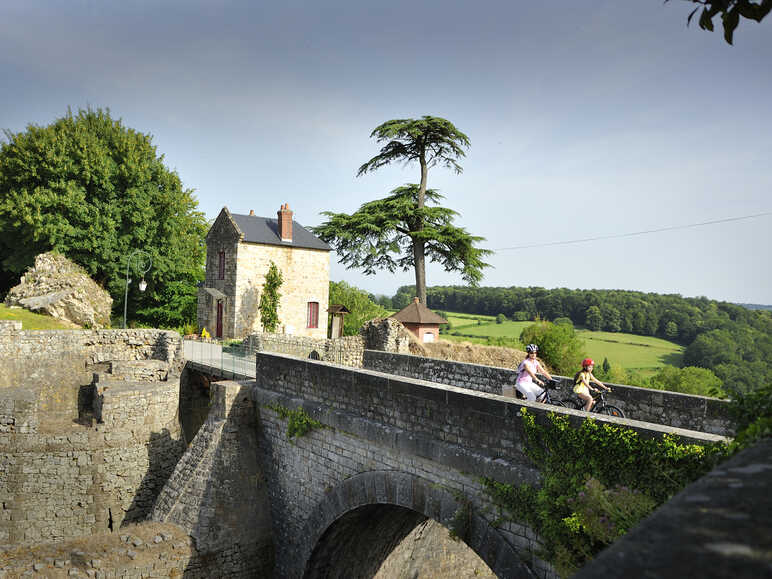 Ruines du Château de Domfront