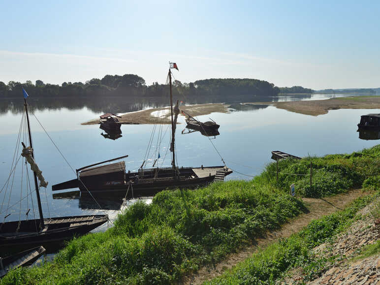 Le Thoureil en bord de Loire