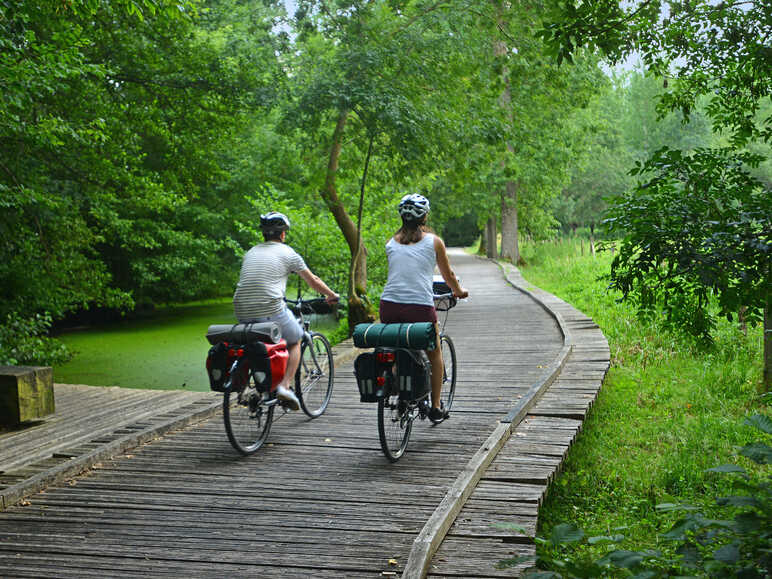 Marais Poitevin à vélo - La Garette 