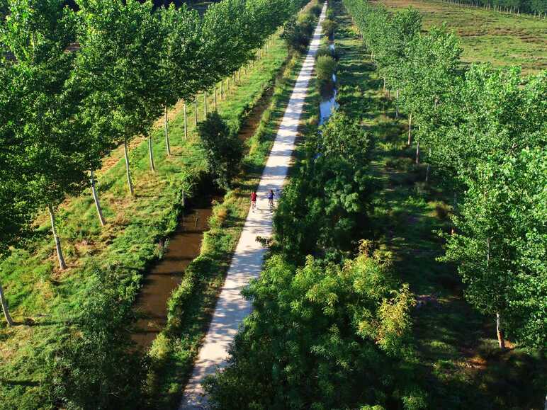 Traversée du marais Poitevin à vélo dans le secteur de La Garette